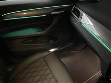 BMW X1（F48）の「ライト・パッケージ」