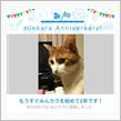 祝・みんカラ歴2年！