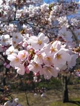 長男の引っ越し荷物運搬🎵 長男の引っ越し荷物運搬🎵