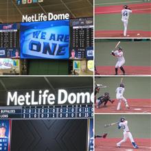 野球観戦（埼玉西武vsオリックス）
