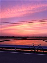 タクラマカンの夕焼け