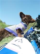 ⛰️カモシカさんでのシーズン初林道🏍