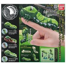 【閲覧注意】ガシャポン・いもむし