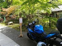 ふらっとバイクで　永平寺 (Ninja650)
