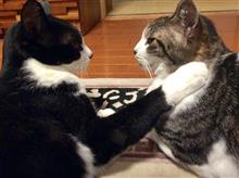 おぉ〜、懐かしいじゃないか( ^ω^ )