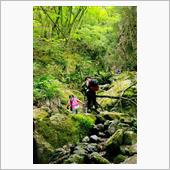 はじめてのガチ登山