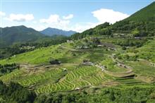 丸山千枚田