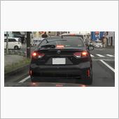 グローバルカーなので？