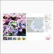 続・種苗法‐Seeds and Seedings Law‐