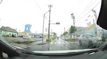 カモフラージュ車と遭遇しました