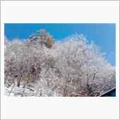 ありがたいことに、今年は雪が ...