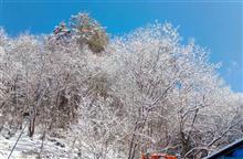 ありがたいことに、今年は雪が多い