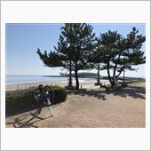 いつもの青島まで2021/0 ...