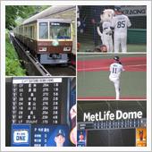 野球観戦（埼玉西武vs福岡ソ ...