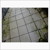 玄関に二匹