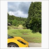 梅雨の狭間のプチドラ