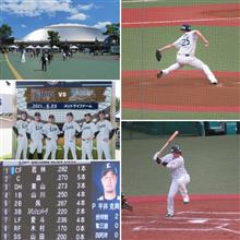 野球観戦（埼玉西武vs北海道日本ハム）