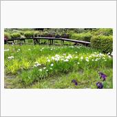 花の郷 滝谷花しょうぶ園に行 ...