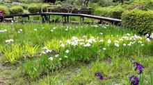 花の郷 滝谷花しょうぶ園に行きました！