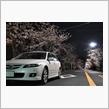 【2021.3〜】今更…桜舞い散る頃のお話(⌒-⌒; )