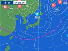 空豆の片付け、ゴーヤの手、トマトの屋根など。
