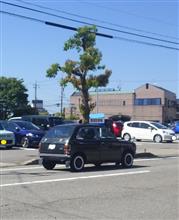 最近、よく見る旧車