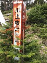 20210603 ゴールデンコース　林道横尾山線と林道川上牧丘線