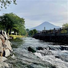すっかり夏色の富士山🗻 〜 最後のつつじ(?)見つけた＃2🌼