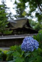 曇ってる。