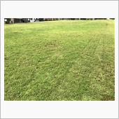 公園の草刈りの日