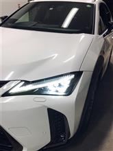 久しぶりにガッツリ洗車