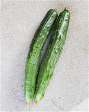 自宅畑の収穫物とか