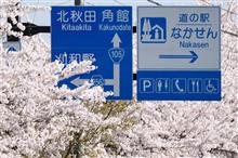 春爛漫!秋田・岩手④ 斉内川の桜 JR秋田新幹線 (2021 .4) 春爛漫!秋田・岩手④ 斉内川の桜 JR秋田新幹線 (2021 .4)