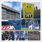 野球観戦（東京ヤクルトvs埼 ...
