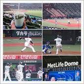 野球観戦（埼玉西武vs横浜D ...