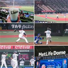 野球観戦（埼玉西武vs横浜DeNA）