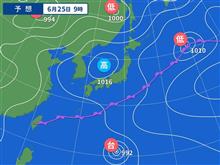 畑の草抜きに 疲れました★