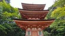 当尾 石仏の道から「浄瑠璃寺」を散策しました! 当尾 石仏の道から「浄瑠璃寺」を散策しました!