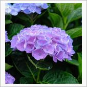 XF27mm F2.8 R  ...