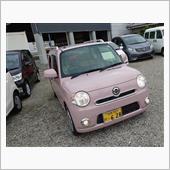可愛らしい車