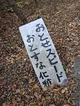路上は、OKでも.....