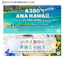 亀さんの飛行機