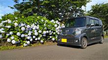 N-BOXの車窓から　Vol.19