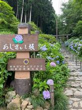 お出掛け〜大谷資料館からの大平山神社❣️