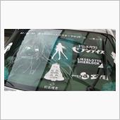 リーゼ修正