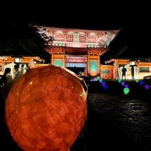 いつもの神社もライトアップで美しく⛩✨