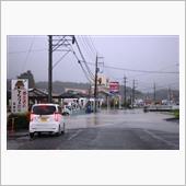 なんとぉ～すごい雨だこと。Σ ...