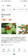 みなさんは知ってましたか❓️😀