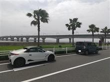 みん友さんと知多半島をカルガモ♪