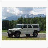 カメの車検ー２（ﾒｶﾞｸﾙｰ ...